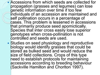  Accessions from which seeds are collected for
propagation (grasses and legumes) can lose
genetic information over time if too few
individuals of an accession are maintained and
self pollination occurs in a percentage of
cases. This problem is lessened in accessions
that primarily produce seed apomictically.
Species that inter cross easily lose superior
genotypes when cross-pollination is not
controlled and seeds are used.
 Studies on seed physiology and reproductive
biology would identify grasses that could be
stored as bulked seed and would reduce the
size of field collections. Crops of this type
need to establish protocols for maintaining
accessions according to breeding behaviour
(Sackville Hamilton and Chorlton 1997).
 
