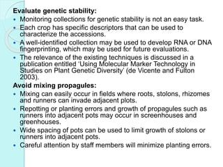Evaluate genetic stability:
 Monitoring collections for genetic stability is not an easy task.
 Each crop has specific descriptors that can be used to
characterize the accessions.
 A well-identified collection may be used to develop RNA or DNA
fingerprinting, which may be used for future evaluations.
 The relevance of the existing techniques is discussed in a
publication entitled ‘Using Molecular Marker Technology in
Studies on Plant Genetic Diversity’ (de Vicente and Fulton
2003).
Avoid mixing propagules:
 Mixing can easily occur in fields where roots, stolons, rhizomes
and runners can invade adjacent plots.
 Repotting or planting errors and growth of propagules such as
runners into adjacent pots may occur in screenhouses and
greenhouses.
 Wide spacing of pots can be used to limit growth of stolons or
runners into adjacent pots.
 Careful attention by staff members will minimize planting errors.
 
