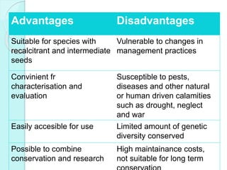 Advantages Disadvantages
Suitable for species with
recalcitrant and intermediate
seeds
Vulnerable to changes in
management practices
Convinient fr
characterisation and
evaluation
Susceptible to pests,
diseases and other natural
or human driven calamities
such as drought, neglect
and war
Easily accesible for use Limited amount of genetic
diversity conserved
Possible to combine
conservation and research
High maintainance costs,
not suitable for long term
 