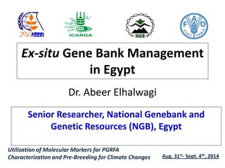 Ex-situ Gene Bank Management
in Egypt
Dr. Abeer Elhalwagi
Senior Researcher, National Genebank and
Genetic Resources (NGB), Egypt
Utilization of Molecular Markers for PGRFA
Characterization and Pre-Breeding for Climate Changes Aug. 31st- Sept. 4th, 2014
 