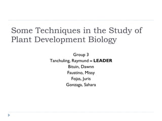 Some Techniques in the Study of Plant Development Biology Group 3 Tanchuling, Raymund  – LEADER Bituin, Dawnn Faustino, Missy Fojas, Juris Gonzaga, Sahara 