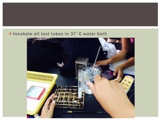  Incubate all test tubes in 37˚C water bath
 