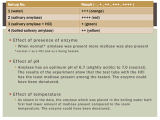  Effect of presence of enzyme
 When normal* amylase was present more maltose was also present
*normal = w/o HCl and w/o being heated.
 Effect of pH
 Amylase has an optimum pH of 6.7 (slightly acidic) to 7.0 (neutral).
The results of the experiment show that the test tube with the HCl
has the least maltose present among the tested. The enzyme could
have been denatured.
 Effect of temperature
 As shown in the data, the amylase which was placed in the boiling water bath
first had lower amount of maltose present compared to the room
temperature. The enzyme could have been denatured.
Set-up No. Result ( - , + , ++ , +++ , ++++ )
1 (water) +++ (orange)
2 (salivary amylase) ++++ (red)
3 (salivary amylase + HCl) + (green)
4 (boiled salivary amylase) ++ (yellow)
 