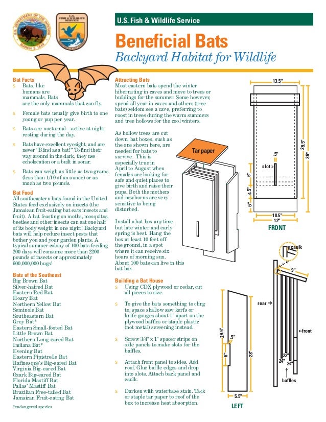 How do you build a bat box?