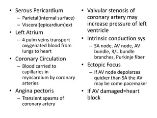 • Serous Pericardium
– Parietal(internal surface)
– Visceral(epicardium)ext
• Left Atrium
– 4 pulm veins transport
oxygenated blood from
lungs to heart
• Coronary Circulation
– Blood carried to
capillaries in
myocardium by coronary
arteries
• Angina pectoris
– Transient spasms of
coronary artery
• Valvular stenosis of
coronary artery may
increase pressure of left
ventricle
• Intrinsic conduction sys
– SA node, AV node, AV
bundle, R/L bundle
branches, Purkinje fiber
• Ectopic Focus
– If AV node depolarzes
quicker than SA the AV
may be come pacemaker
• If AV damaged=heart
block
 