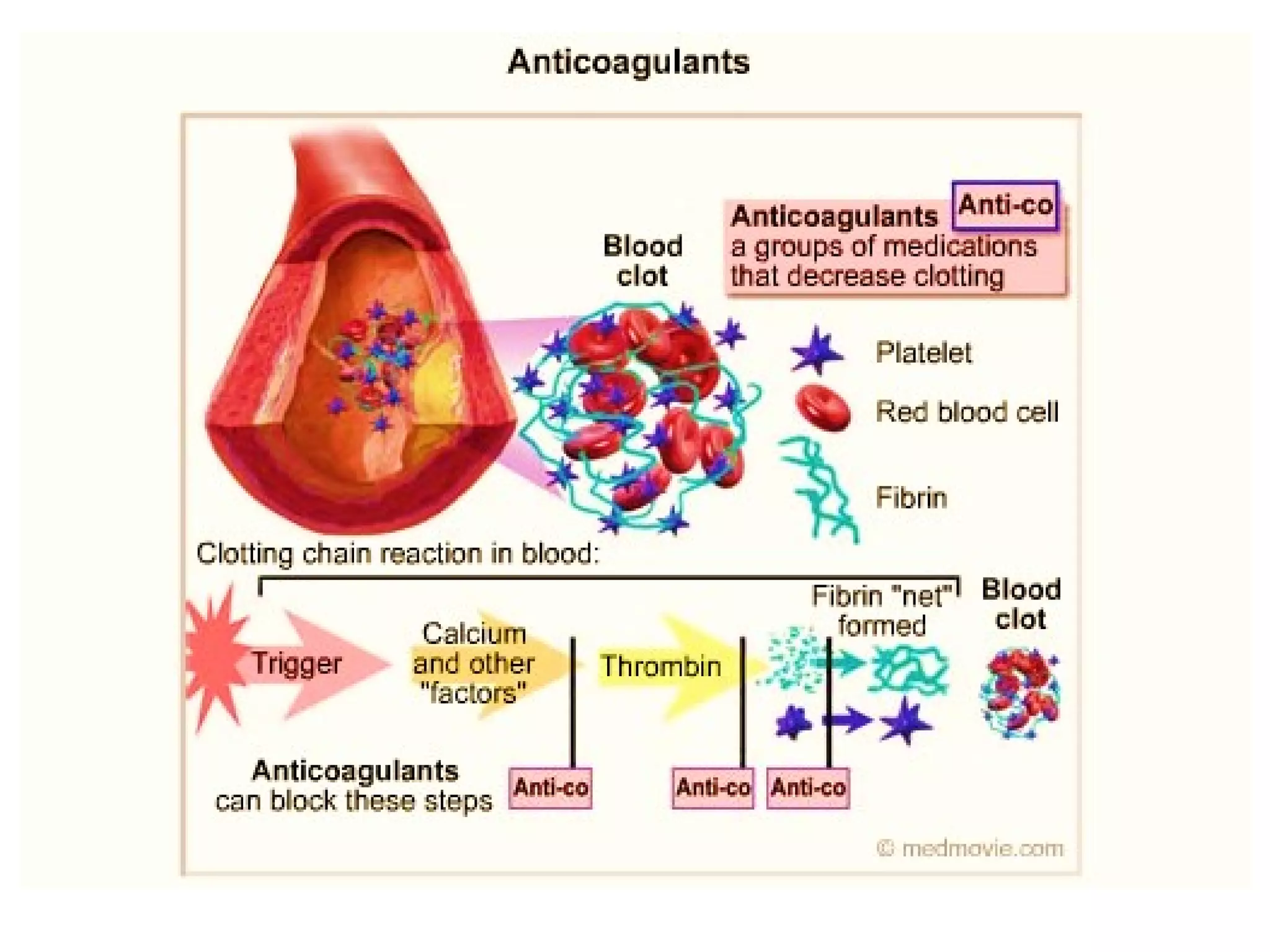 Anticoagulant and Blood Collecting Tubes | PDF