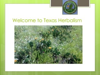 Welcome to Texas Herbalism
 