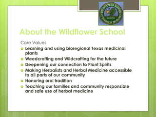 About the Wildflower School
Core Values
 Learning and using bioregional Texas medicinal
plants since
 Weedcrafting and Wildcrafting for the future
 Deepening our connection to Plant Spirits
 Making Herbalists and Herbal Medicine accessible
to all parts of our community
 Honoring oral tradition
 Teaching our families and community responsible
and safe use of herbal medicineaCrossroads:
Medical Model or Folk Followings?
 