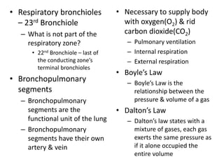 • Necessary to supply body
with oxygen(O2) & rid
carbon dioxide(CO2)
– Pulmonary ventilation
– Internal respiration
– External respiration
• Boyle’s Law
– Boyle’s Law is the
relationship between the
pressure & volume of a gas
• Dalton’s Law
– Dalton’s law states with a
mixture of gases, each gas
exerts the same pressure as
if it alone occupied the
entire volume
• Respiratory bronchioles
– 23rd Bronchiole
– What is not part of the
respiratory zone?
• 22nd Bronchiole – last of
the conducting zone’s
terminal bronchioles
• Bronchopulmonary
segments
– Bronchopulmonary
segments are the
functional unit of the lung
– Bronchopulmonary
segments have their own
artery & vein
 