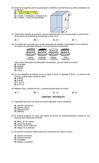 36. Observa el siguiente prisma cuadrangular e identifica correctamente sus partes señaladas con 
las flechas: 
A) 1 cara, 2 arista y 3 vértice 
B) 1 arista, 2 vértice y 3 cara 
C) 2 arista, 1 rectángulo y 3 ángulo recto 
D) 3 vértice, 1 cara y 2 línea paralela 
37. Carlos tiene 3 barras de amaranto. Quiere repartirlas entre él y sus tres amigos. ¿qué fracción 
de las barras de amaranto le corresponde a cada uno? 
A) ½ B) ¾ C) 2/4 D) ¼ 
38. En la fiesta de la escuela van a vender rebanadas de pasteles. Cada pastel lo van a dividir en 
un número de rebanadas diferente, como se muestra a continuación 
Juan compró del pastel con rebanadas más grandes, ¿de qué sabor lo compró? 
A) Chocolate 
B) Naranja 
C) Vainilla 
D) Fresa 
39. En el cumpleaños de Roberto su tía le regaló $ 25.30, su abuelita $ 30.50 y su mamá le dio 
$ 75.30 ¿cuánto dinero reunió en total? 
A) $ 55.80 
B) $ 90.60 
C) $ 120.10 
D) $ 131.10 
40. Alejandro teje ½ pulsera por día. ¿cuántas pulseras tejerá en 8 días? 
A) 4 B) 11 C) 16 D) 24 
CIENCIAS NATURALES 
41. Capacidad que tienen los seres vivos para engendrar nuevos individuos. 
A) Aparato reproductor 
B) Aparato sexual 
C) Reproducción 
D) Madurez 
42. El maestro pregunto en clase ¿En dónde se forman los espermatozoides? ¿Quién de sus 
alumnos dio la respuesta correcta? 
A) Mario: En los ovarios. 
B) Jesús: En el pene. 
C) Karina: En los testículos. 
D) Sergio: En la próstata. 
43. Su función consiste en realizar todos los movimientos del cuerpo humano. 
A) Aparato locomotor. 
B) Sistema nervioso. 
C) Esqueleto. 
D) Aparato circulatorio. 
 