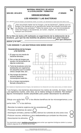 MATERIAL DIDÁCTICO DE APOYO 
A LA EVALUACIÓN FORMATIVA 
NOV-DIC. 2014-2015 4º GRADO 
CIENCIAS NATURALES 
LOS HONGOS Y LAS BACTERIAS 
A.E .Identifica que los hongos y las bacterias crecen, se nutren y se reproducen al igual que otros seres vivos. 
. 
En tu libro de texto p.55 realizaste un experimento de la elaboración de la levadura, ¿por qué las dos botellas de plástico tenían que estar limpias?, ________________ _______________________________¿Por qué utilizaron azúcar y no sal?____________________________________________________. 
“LOS HONGOS Y LAS BACTERIAS SON SERES VIVOS” 
A.E. Explica la importancia de los hongos y las bacterias en la interacción con otros seres vivos y el medio natural. 
“Los hongos y las bacterias descomponen los restos de comida, de hojas, troncos, y de organismos muertos, entre otros; así la materia reintegra el ambiente. Pero también algunos microscópicos resultan perjudiciales pues pueden descomponer los alimentos”. 
Dibuja una carita feliz a los efectos benéficos de los microorganismos y una carita triste a los dañinos. 
- Reciclan la materia orgánica de los ecosistemas. 
- Provocan problemas de salud. - Desintegran animales y plantas muertas y fabrican los nutrientes de otros seres vivos. - Producen vacunas, antibióticos y otros medicamentos que combaten las infecciones. - Descomponen los alimentos. 
¿Has escuchado hablar de los hongos y de las bacterias? ¿Sabías que los hongos y las bacterias en la reproducción tienen las mismas funciones que las plantas y los animales? “Todos los seres vivos, aun los microscópicos como los hongos o las bacterias, se nutren, respiran, se reproducen y realizan sus funciones”. 
14 
Características de los hongos y las bacterias. 
1.El yogur es una mezcla de 
bacterias llamadas… 
2.Son un tipo de hongos que 
ayudan a la fermentación de 
algunas sustancias… 
3.Tanto las levaduras como los 
lactobacilos son organismos 
tan pequeños que no pueden 
verse a simple vista, son… 
4.Hay hongos de distintos 
tamaños desde los 
microscópicos hasta los… 
5.Es un hongo macroscópicollamado champiñón o... 
5. 
2. 
1. 
3 
4. 
Es importante seguir medidas preventivas para evitar que agentes biológicos dañen tu cuerpo, elabora algunas en el reverso de la hoja. 
Derechos Reservados. GOB. EDO.SEECH. MTP. Ponemos a su disposición la página http://primarias.cetechihuahua.gob.mx  