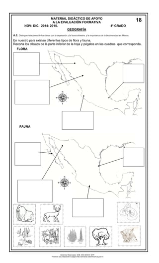  
A.E. Distingue relaciones de los climas con la vegetación y la fauna silvestre, y la importancia de la biodiversidad en México. 
En nuestro país existen diferentes tipos de flora y fauna. 
Recorta los dibujos de la parte inferior de la hoja y pégalos en los cuadros que corresponda. 
MATERIAL DIDÁCTICO DE APOYO 
A LA EVALUACIÓN FORMATIVA 
NOV- DIC. 2014- 2015. 4º GRADO 
GEOGRAFÍA 
18 
FLORA 
FAUNA 
Derechos Reservados. GOB. EDO.SEECH. MTP. Ponemos a su disposición la página http://primarias.cetechihuahua.gob.mx  