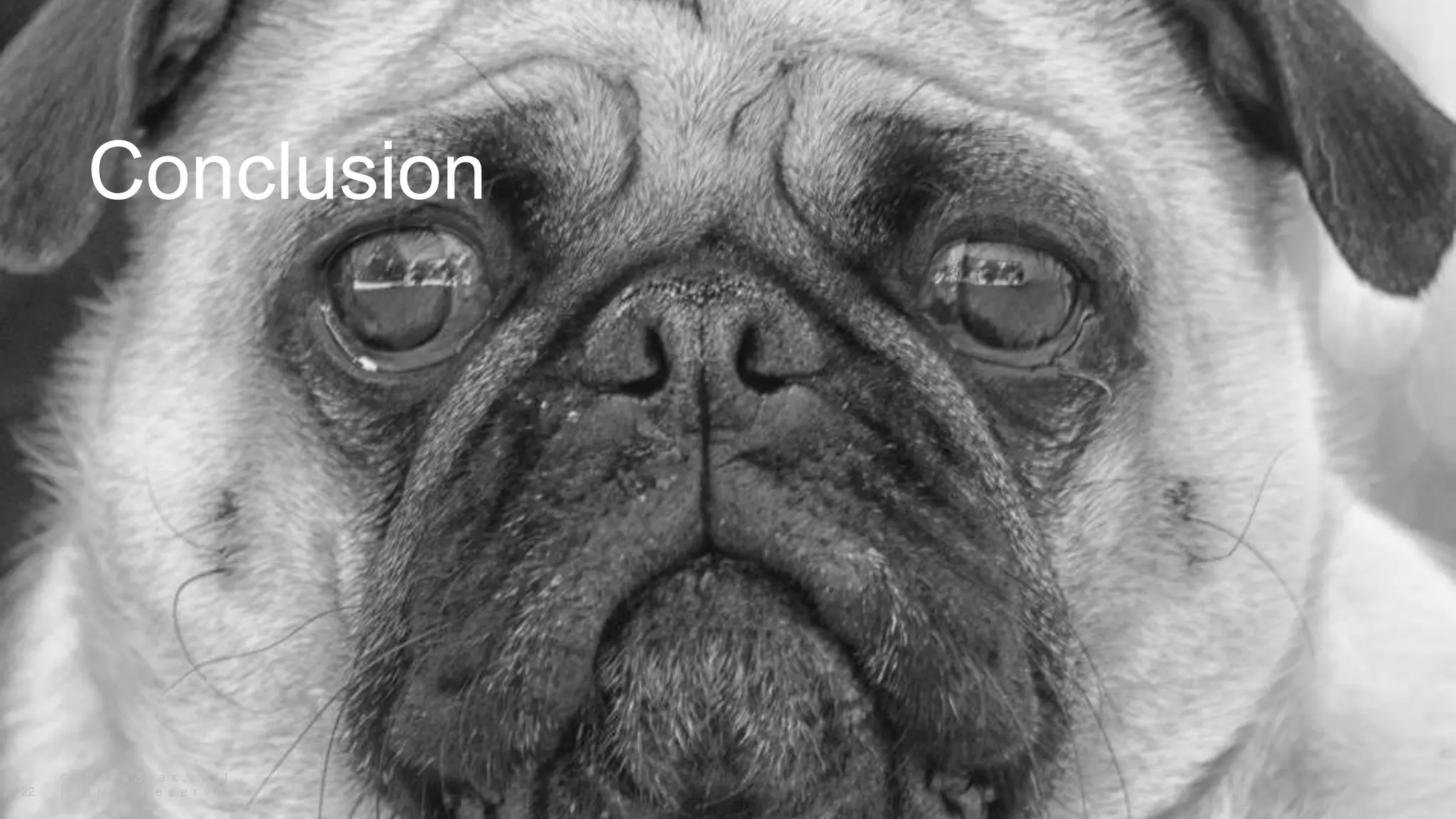 Conclusion
© D a t a S t a x , A l l
R i g h t s R e s e r v e d .22
 