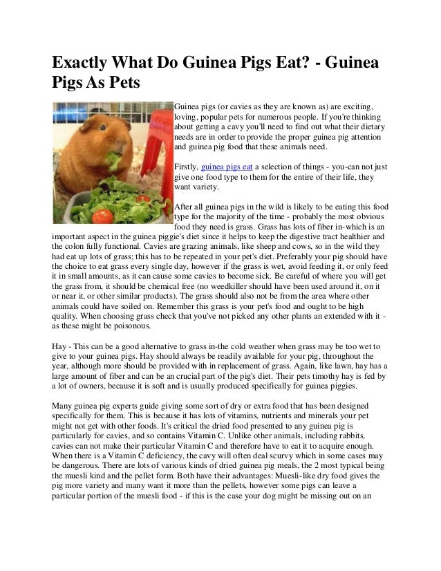 what things can guinea pigs eat