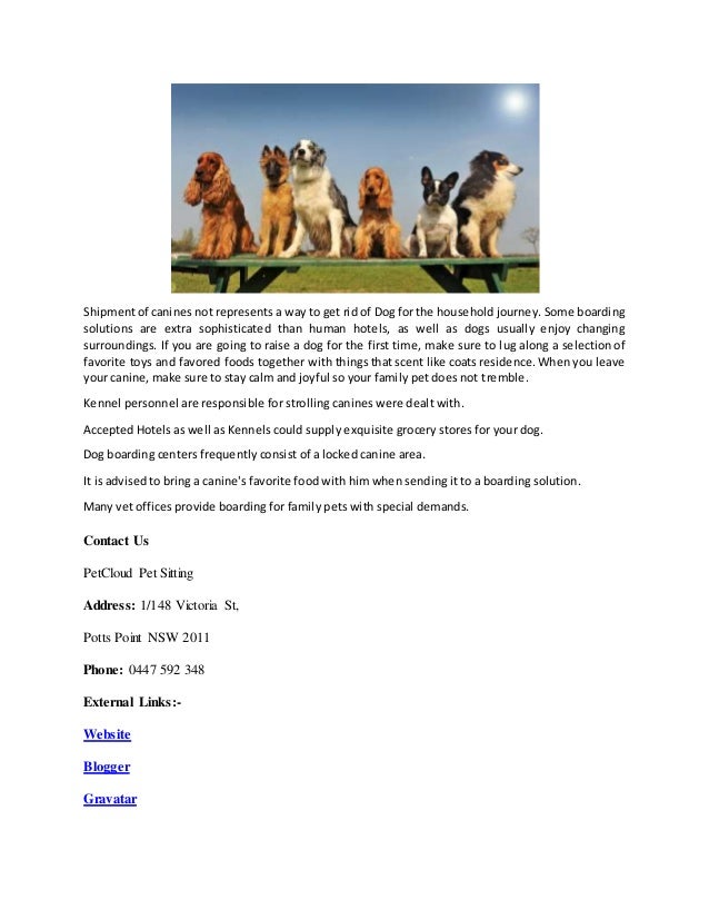canine boarding