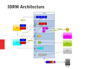 IORM Architecture
 
