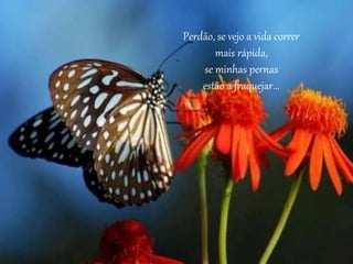 Perdão, se vejo a vida correr
mais rápida,
se minhas pernas
estão a fraquejar...