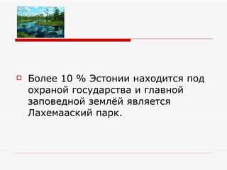 Более 10 % Эстонии находится под охраной государства и главной заповедной землёй является Лахемааский парк. 