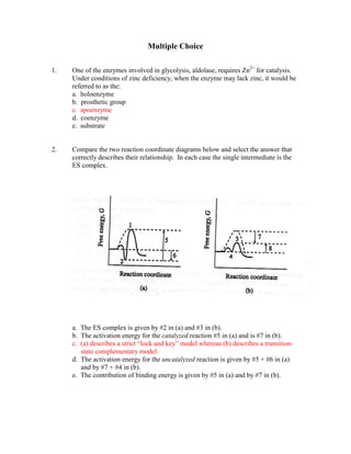 Multiple Choice

1.   One of the enzymes involved in glycolysis, aldolase, requires Zn2+ for catalysis.
     Under conditions of zinc deficiency, when the enzyme may lack zinc, it would be
     referred to as the:
     a. holoenzyme
     b. prosthetic group
     c. apoenzyme
     d. coenzyme
     e. substrate


2.   Compare the two reaction coordinate diagrams below and select the answer that
     correctly describes their relationship. In each case the single intermediate is the
     ES complex.




     a. The ES complex is given by #2 in (a) and #3 in (b).
     b. The activation energy for the catalyzed reaction #5 in (a) and is #7 in (b).
     c. (a) describes a strict “lock and key” model whereas (b) describes a transition-
        state complementary model.
     d. The activation energy for the uncatalyzed reaction is given by #5 + #6 in (a)
        and by #7 + #4 in (b).
     e. The contribution of binding energy is given by #5 in (a) and by #7 in (b).
 