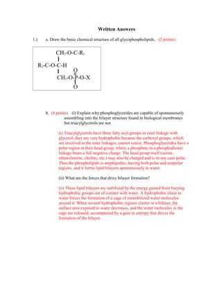 Written Answers
1.)   a. Draw the basic chemical structure of all glycophospholipids, (2 points)




      b. (4 points) (i) Explain why phosphoglycerides are capable of spontaneously
                assembling into the bilayer structure found in biological membranes
                but triacylglycerols are not.

             (i) Triacylglycerols have three fatty acyl groups in ester linkage with
             glycerol; they are very hydrophobic because the carboxyl groups, which
             are involved in the ester linkages, cannot ionize. Phosphoglycerides have a
             polar region at their head group, where a phosphate in a phosphodiester
             linkage bears a full negative charge. The head group itself (serine,
             ethanolamine, choline, etc.) may also be charged and is in any case polar.
             Thus the phospholipids is amphipathic, having both polar and nonpolar
             regions, and it forms lipid bilayers spontaneously in water.

             (ii) What are the forces that drive bilayer formation?

             (ii) These lipid bilayers are stabilized by the energy gained from burying
             hydrophobic groups out of contact with water. A hydrophobic chain in
             water forces the formation of a cage of immobilized water molecules
             around it. When several hydrophobic regions cluster in a bilayer, the
             surface area exposed to water decreases, and the water molecules in the
             cage are released, accompanied by a gain in entropy that drives the
             formation of the bilayer.
 