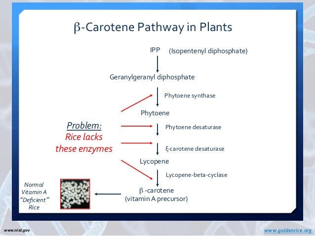 MedWorm Alternative and Complementary Therapies Research