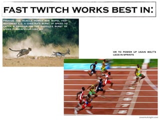 fast twitch works best in: 
Provide the muscle power for rapid, fast 
movement e.g. a cheetah's burst of speed to 
catch a gazelle, or the gazelles burst of 
speed to escape the cheetah 
or to power up usain bolt’s 
legs in sprints 
omarmcknight.com 
 