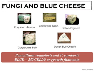 Blue Cheeses – Based on Origen 
fungi and blue cheese 
Roquefort - France Cambreles- Spain 
Stilton- England 
Danish Blue Cheese 
Gorgonzola- Italy 
science of cooking 
Penicillium roqueforti and P. camberti 
BLUE = MYCELIA/ or growth filaments 
 
