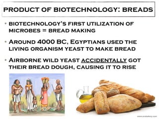 product of biotechnology: breads 
•biotechnology’s first utilization of 
microbes = bread making 
•Around 4000 BC, Egyptians used the 
living organism yeast to make bread 
•Airborne wild yeast accidentally got 
their bread dough, causing it to rise 
www.acebakery.com 
 