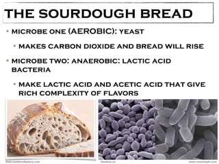 the sourdough bread 
•microbe one (AEROBIC): yeast 
•makes carbon dioxide and bread will rise 
•microbe two: anaerobic: lactic acid 
bacteria 
•make lactic acid and acetic acid that give 
rich complexity of flavors 
www.weekendbakery.com foodists.ca www.rootsimple.com 
 