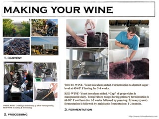 making your wine 
http://www.chinookwines.com 
1. harvest 
2. processing 
3. fermentation 
 