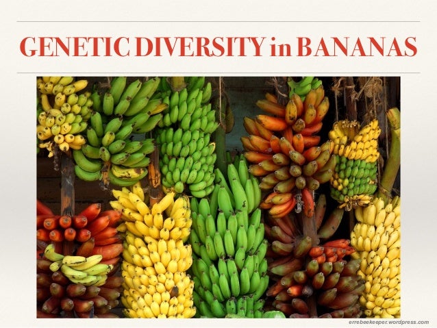 Genetic diversity