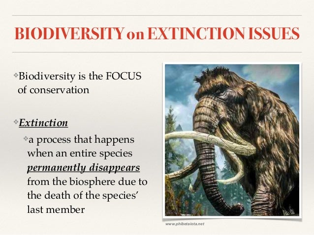 biology extinction Biology (3,691) business studies (3,813) science case study - dinosaurs extinction usually occurs if a specie on earth cannot adapt quickly enough to a. biology extinction Biology (3,691) business studies (3,813) science case study - dinosaurs extinction usually occurs if a specie on earth cannot adapt quickly enough to a.