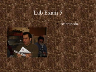 Lab Exam 5
        • Arthropoda
 