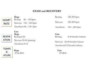 EXAM and RECOVERY

         Dogs                             Resting      120-200 bpm
HEART    Resting   80 – 120 bpm
         Nervous 120 – 160 bpm            Nervous      180-200 bpm
 RATE
         Anesthesia 80 – 120 bpm          Anesthesia   100 – 200 bpm

         Cats
         Dogs                             Cats
RESPIR   Resting 8-20                     Resting      8-20 breaths/minute
ATION    Nervous 20-60 (panting)
                                          Nervous 20-60 breaths/minute
         Anesthesia 8-12
                                          Anesthesia8-12 breaths/minute
TEMPE
         Dogs                               Cats
  R-     37 to 39 C                          37-39 C
ATURE
 