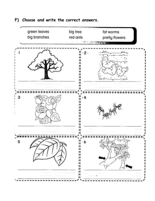 Bahasa Inggeris Tahun 1 Kertas 1 Ogos 2016