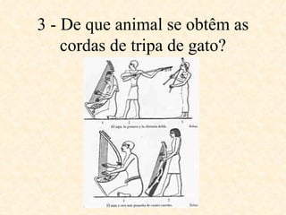 3 - De que animal se obtêm as cordas de tripa de gato? 