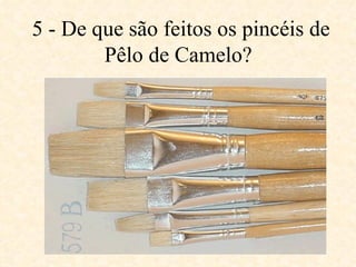 5 - De que são feitos os pincéis de Pêlo de Camelo?  
