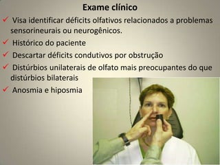 Origem aparente no crânio: forames da lâmina crivosa do osso etmóide 