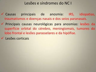 Origem aparente no encéfafalo: bulbo olfatório
