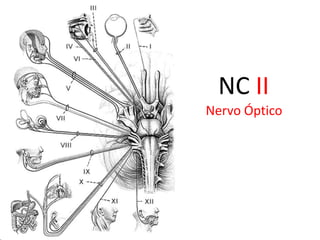 Exclusivamente sensitivo (AVE)Trajeto