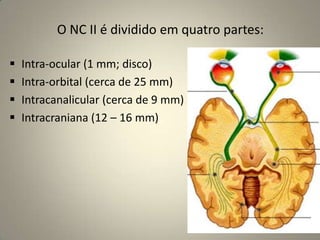 Anosmia e hiposmiaExame clínico do I NC