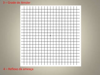  Córtex visual(lóbulo occipital)