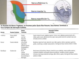 Neoplasias na glândula hipófise: