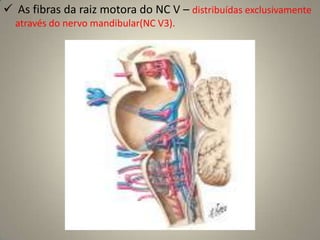 Exame Clínico1 - Exame de confronto do campo visual2 – Campimetria computadorizada