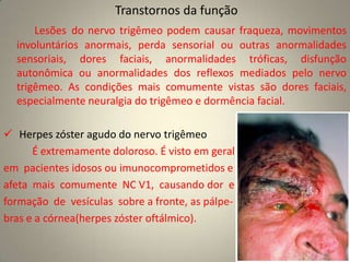 D – Reflexo pupilar lentoExame Clínico