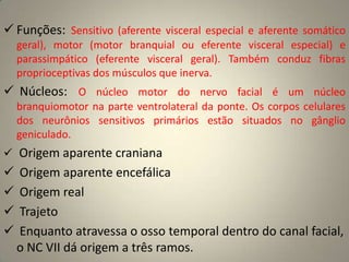 Origem realOrigem aparente Funções do músculos Trajeto do NC III Trajeto do NC IVTrajeto do NC VILesões no NC IIIPtose parcialPupila normalMidríasePtose completa