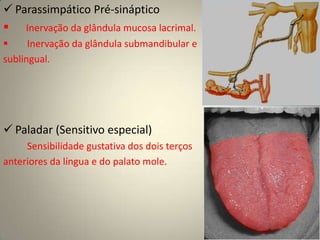 Lesões no NC VIExame ClínicoMotilidade ExtrínsecaMotilidade intrínseca - Reflexos pupilares