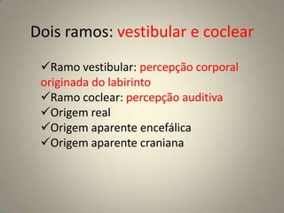 Origem aparente encefálica