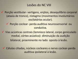  As fibras da raiz motora do NC V – distribuídas exclusivamente através do nervo mandibular(NC V3).Exame ClínicoExame das funções motorasA avaliação da função motora dotrigêmeo  é  realizada  examinando-se os músculos da mastigação.