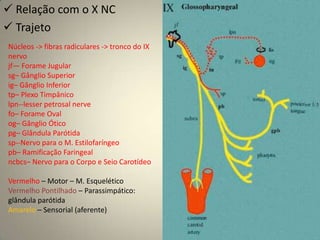 Origem aparente craniana